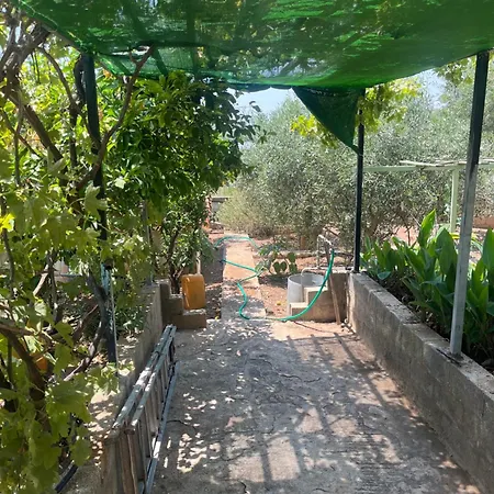 Kristas 아이 테오도리